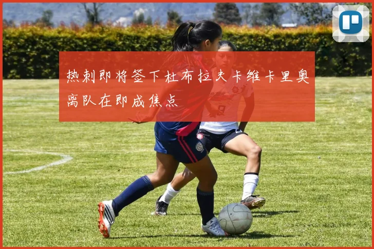 热刺即将签下杜布拉夫卡维卡里奥离队在即成焦点