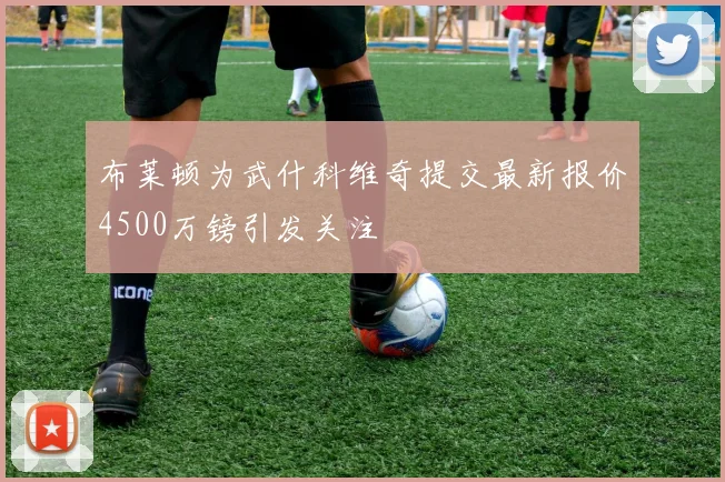 布莱顿为武什科维奇提交最新报价4500万镑引发关注